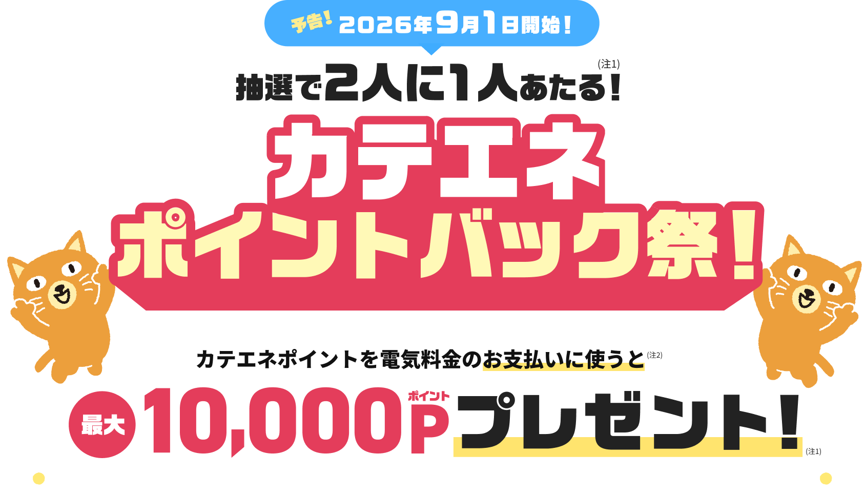 カテエネポイントバック祭
