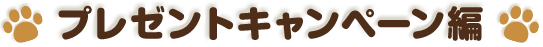 プレゼントキャンペーン編
