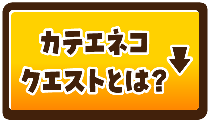 カテエネコクエストとは？