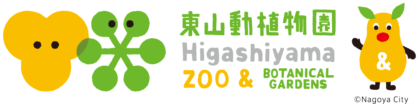 東山動物園 飼育員さんと一緒 家族のじかん応援プロジェクト 中部電力ミライズ