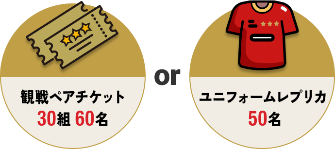 観戦ペアチケット+ユニフォームレプリカ