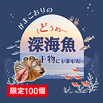 深海魚入り干物セット