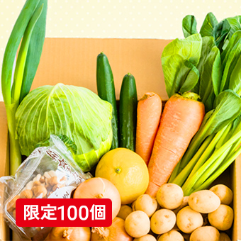 規格外お野菜BOX Sサイズ