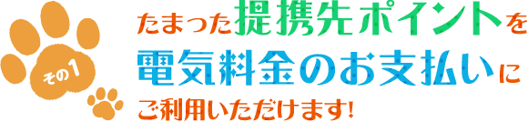 その1 たまった提携先ポイントを電気料金のお支払いにご利用いただけます！