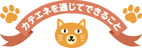 カテエネを通じてできること