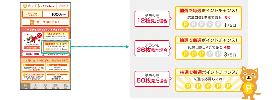 カテエネポイントチャンスキャンペーンイメージ②