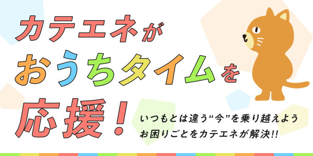 キャンペーン おすすめ情報 カテエネ 中部電力ミライズが運営する家庭向けweb会員サービス