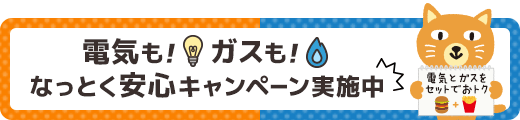 電気も!ガスも!なっとく安心キャンペーン
