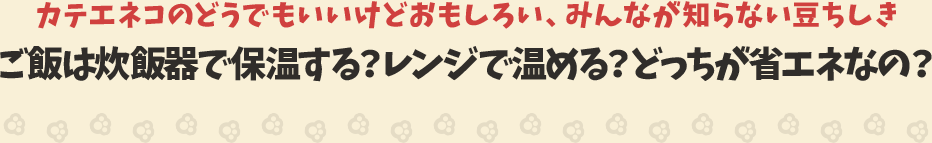 カテエネコのどうでもいいけどおもしろい、みんなが知らない豆ちしき　ご飯は炊飯器で保温する？レンジで温める？どっちが省エネなの？