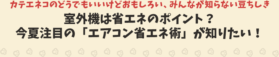 カテエネコのどうでもいいけどおもしろい、みんなが知らない豆ちしき　室外機は省エネのポイント？今夏注目の「エアコン省エネ術」が知りたい！