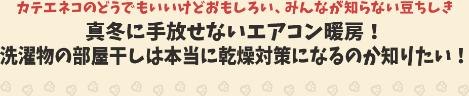 カテエネコのどうでもいいけどおもしろい、みんなが知らない豆ちしき　真冬に手放せないエアコン暖房！洗濯物の部屋干しは本当に乾燥対策になるのか知りたい！