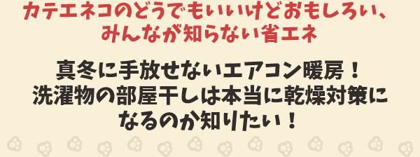 カテエネコのどうでもいいけどおもしろい、みんなが知らない豆ちしき　真冬に手放せないエアコン暖房！洗濯物の部屋干しは本当に乾燥対策になるのか知りたい！