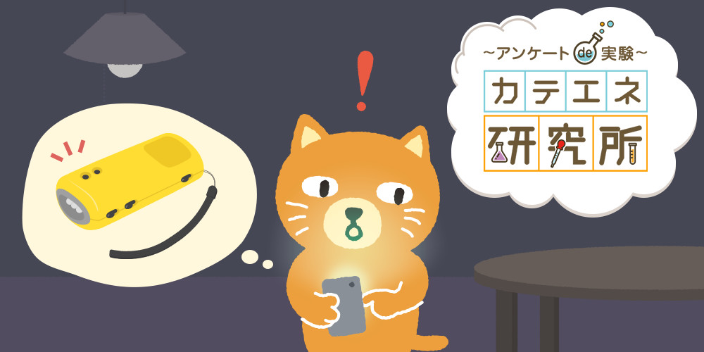 ~アンケートde実験~カテエネ研究所