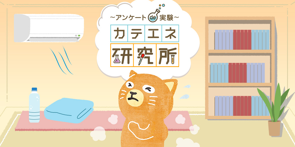 ~アンケートde実験~カテエネ研究所