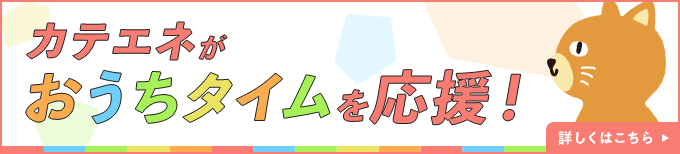 カテエネがおうちタイムを応援！