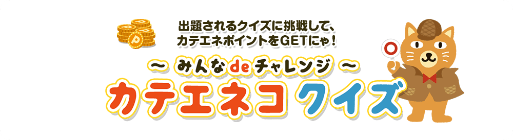 ～みんなdeチャレンジ～カテエネコクイズ