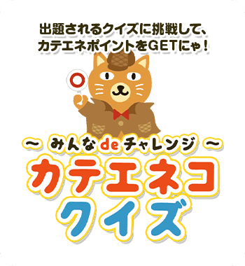 ～みんなdeチャレンジ～カテエネコクイズ