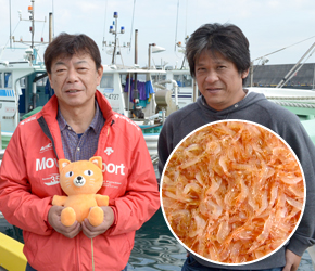 駿河湾の桜えび