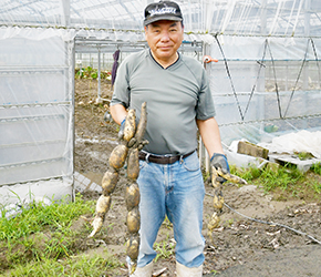 愛知県愛西（あいさい）市のれんこん