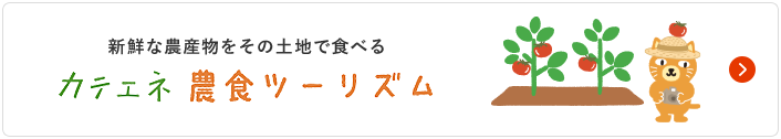 新鮮な農作物をその土地で食べる　カテエネ農食ツーリズム