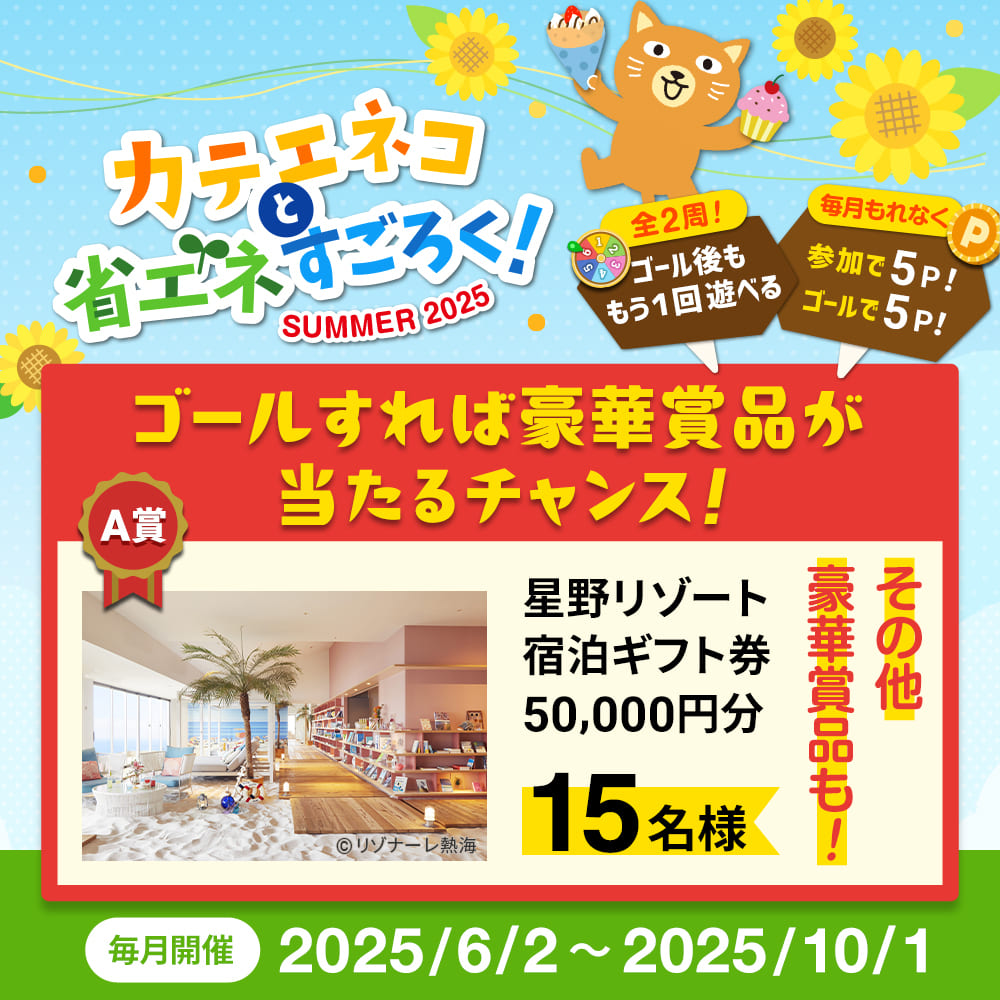 カテエネコと省エネすごろく！ SUMMER 2025