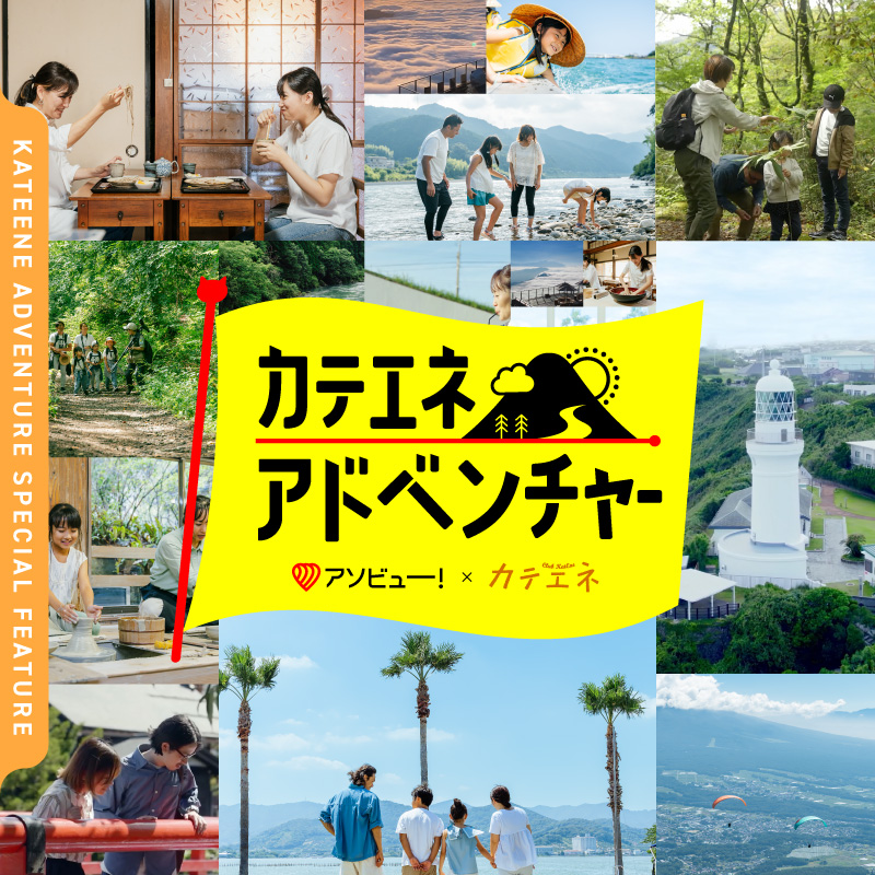 カテエネ会員限定企画！50%OFFクーポンが当たる！