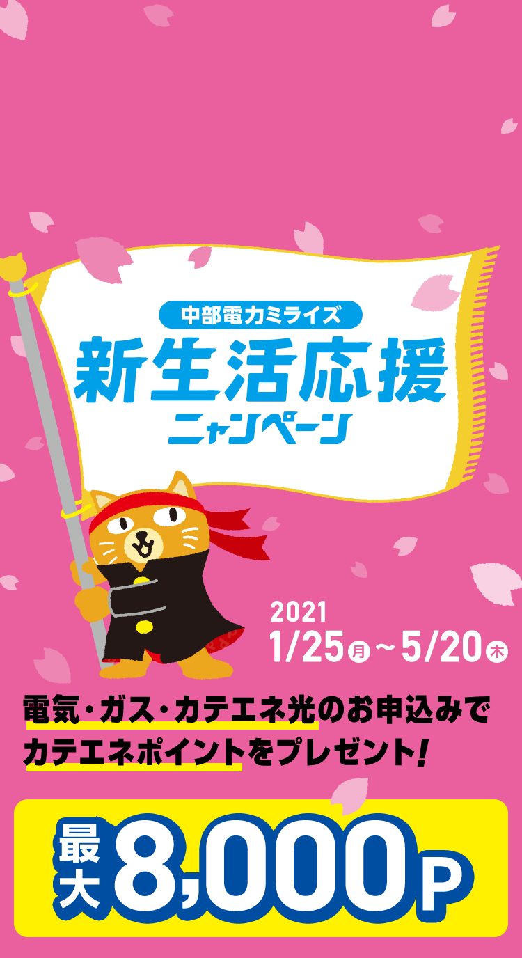 電気 ガスのお手続き カテエネ 中部電力ミライズが運営する家庭向けweb会員サービス