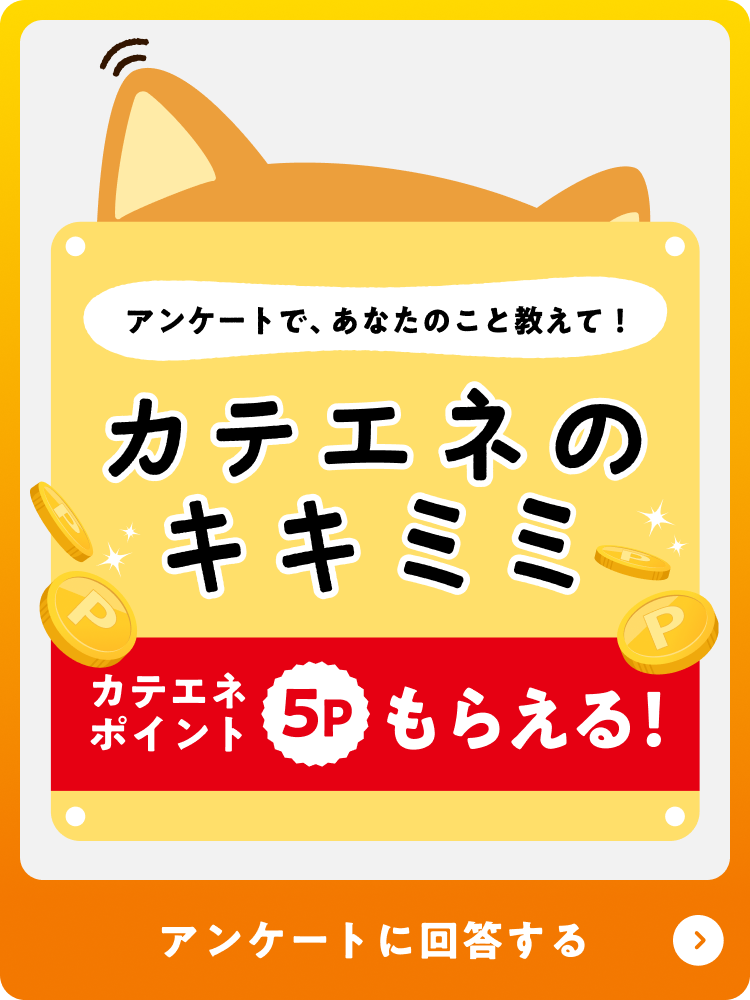 カテエネのキキミミ