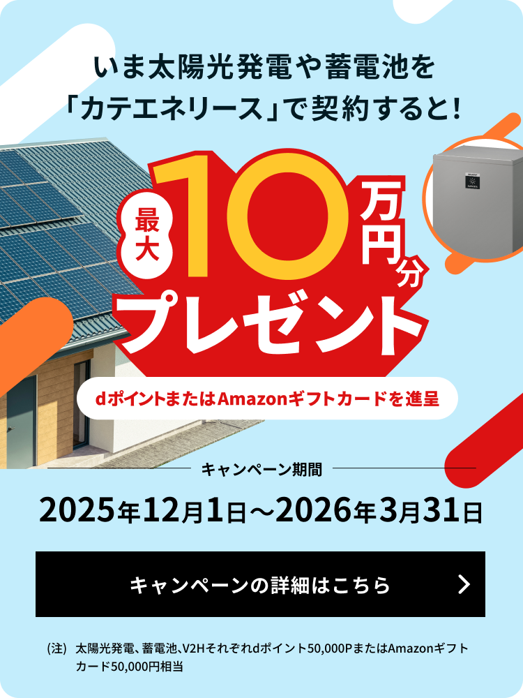 カテエネリースキャンペーン