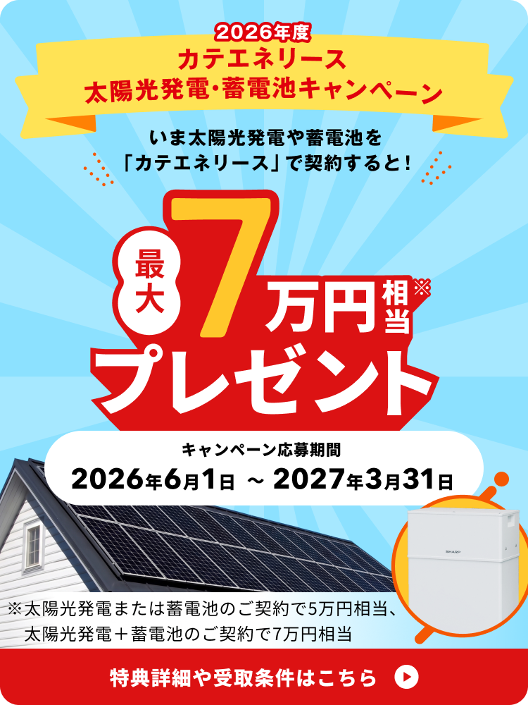 カテエネリースキャンペーン