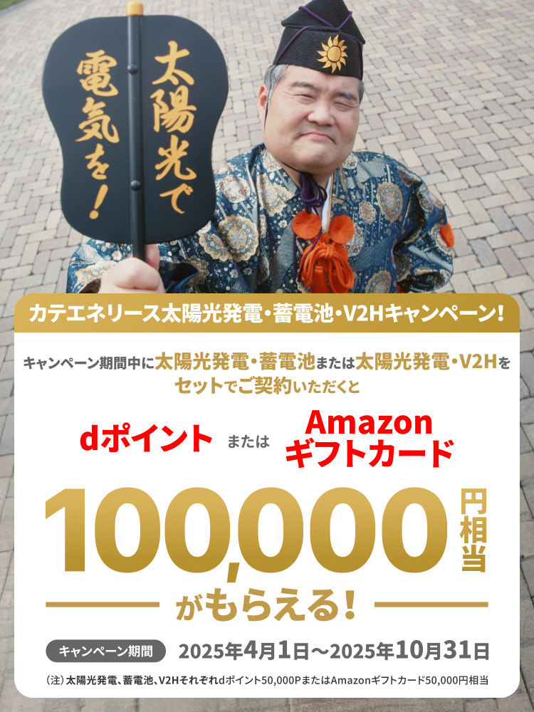 カテエネリースキャンペーン