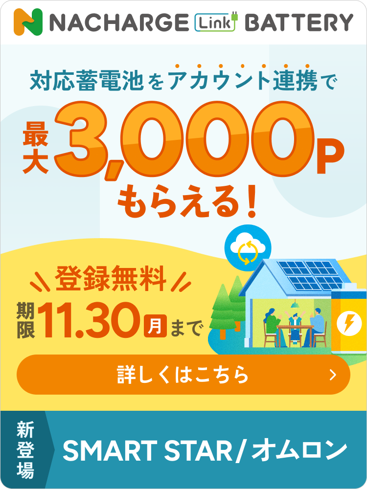 NACHARGE Link BATTERY3,000P進呈