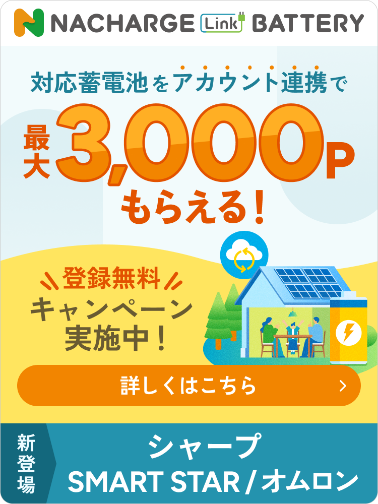 NACHARGE Link BATTERY3,000P進呈