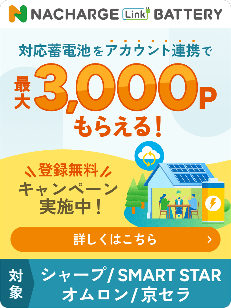 NACHARGE Link BATTERY3,000P進呈