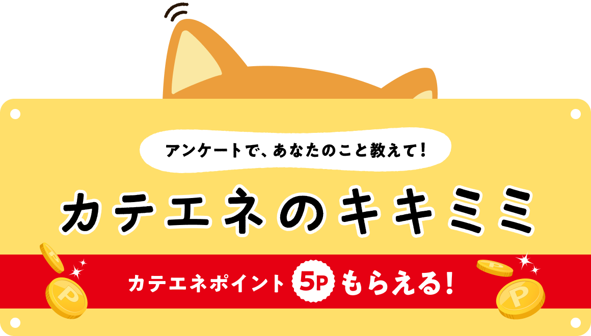 カテエネのキキミミ　アンケートで、あなたのこと教えて！
