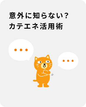 意外に知らない？カテエネ活用術