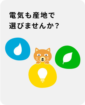 電気も産地で選びませんか？