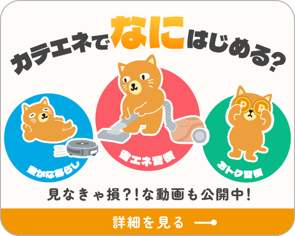 カテエネでなにはじめる?