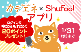 カテエネ×Shufoo!アプリ登場！