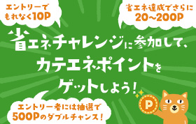 省エネチャレンジ