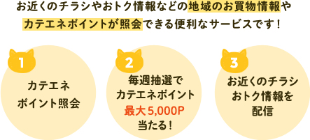 お近くのチラシやおトク情報などの地域のお買物情報やカテエネポイントが照会できる便利なサービスです！ [1]カテエネポイント照会 [2]毎週抽選でカテエネポイント最大5,000P当たる！ [3]お近くのチラシおトク情報を配信
