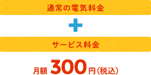 通常の電気料金+サービス料金月額300円（税込）