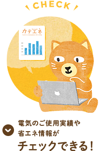 電気の使用実績などの省エネ情報がチェックできる！