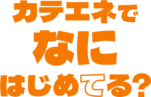 カテエネでなにはじめる？