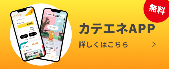 カテエネAPP