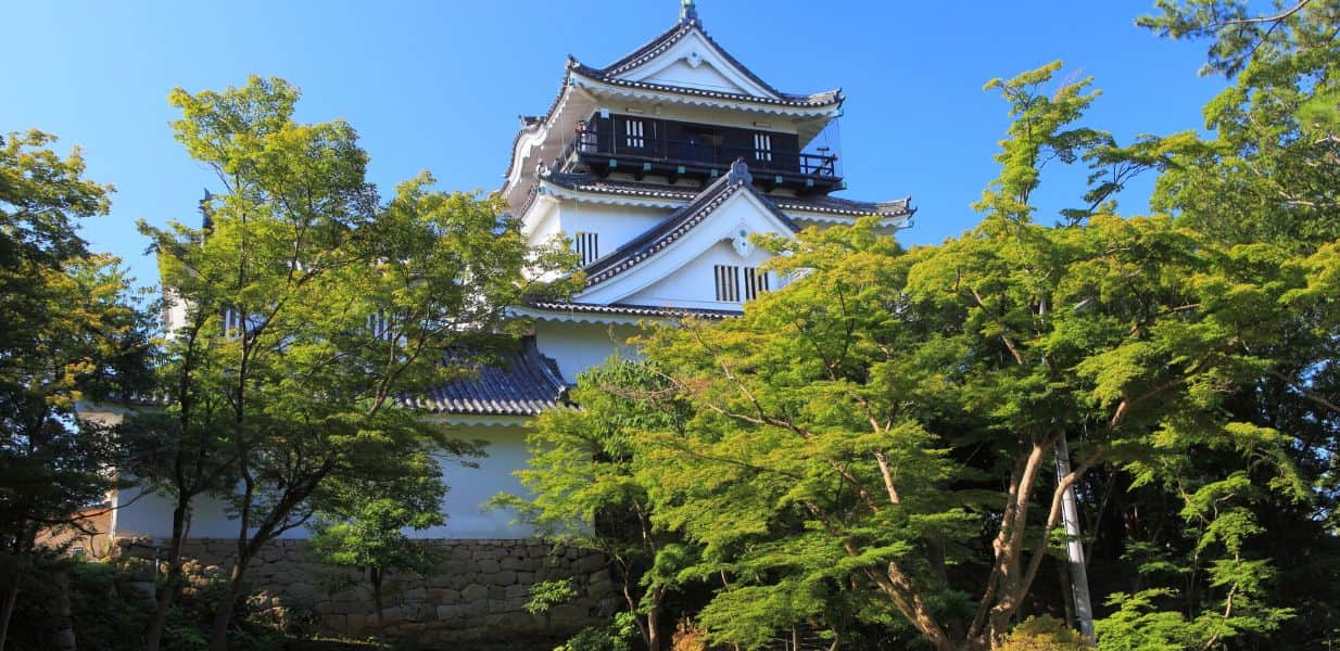 徳川家康とゆかりの深い岡崎城