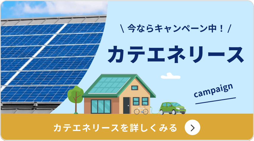 今ならキャンペーン中! カテエネリリースを詳しく見る