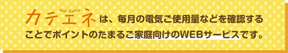 カテエネは、毎月の電気ご使用量などを確認することでポイントのたまるご家庭向けのWEBサービスです。