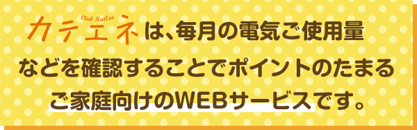 カテエネは、毎月の電気ご使用量などを確認することでポイントのたまるご家庭向けのWEBサービスです。